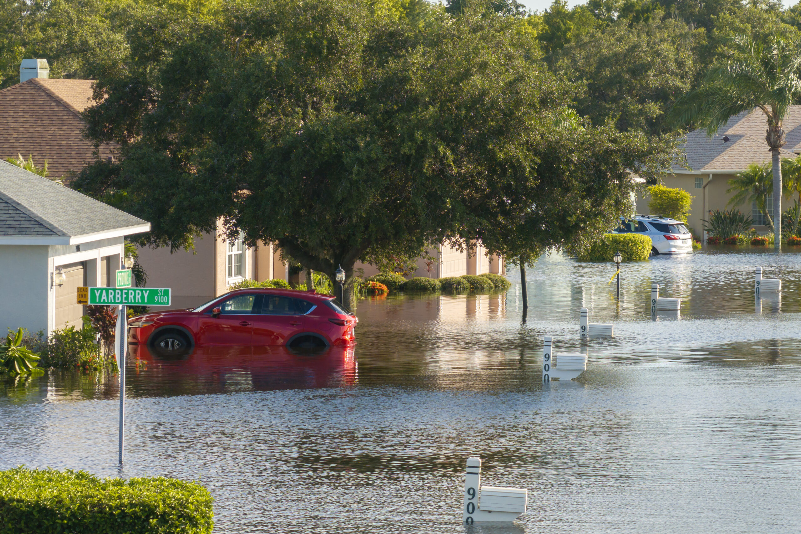 The Aftermath of a Flood: Your Essential Step-by-Step Guide to Protecting Your Home and Health