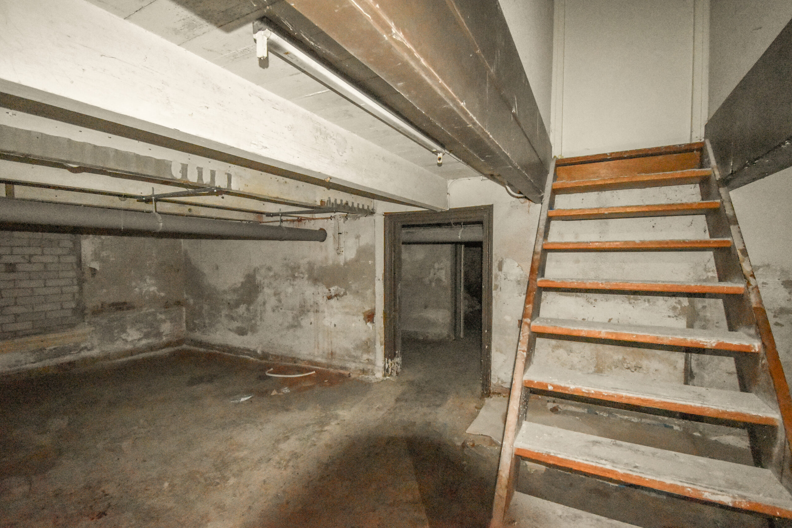 Does Your Basement Smell Musty? It Could Be a Mold Problem