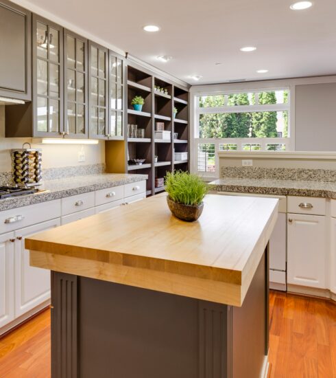 Healthy Home Countertop Choices